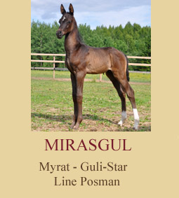 Mirasgul