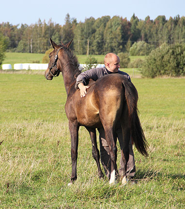Toidjan