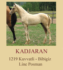 Kadjaran