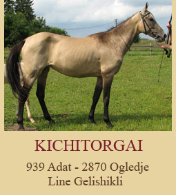 Kichitorgai