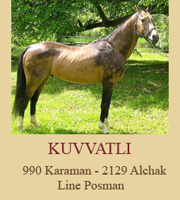 kuvvatli