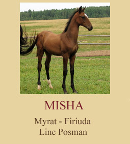 Misha