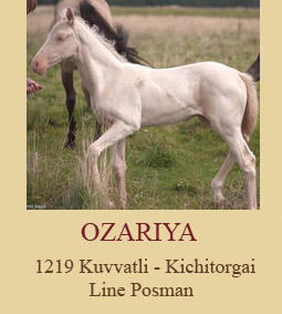 Ozariya