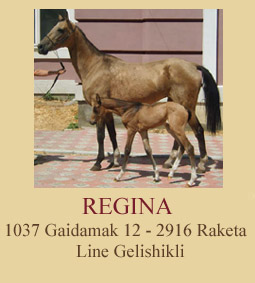 Regina