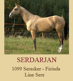 serdar