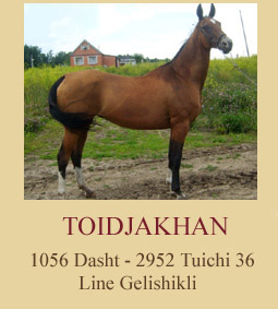 Toidjakhan