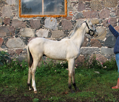Melesar