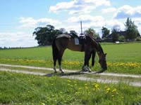 may2004