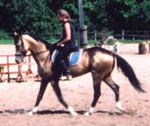 summerof1995