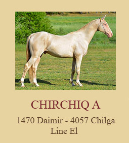 Chirchiq