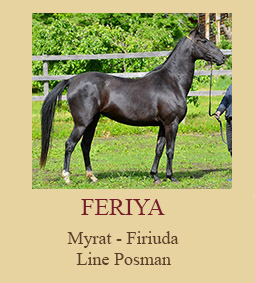 Feriya