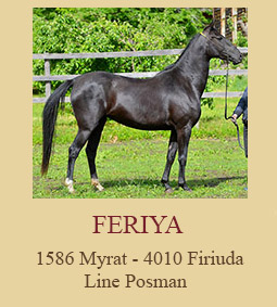 Feriya