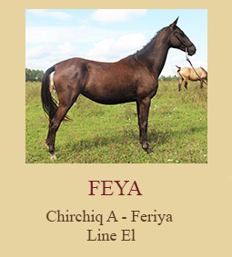 Feya