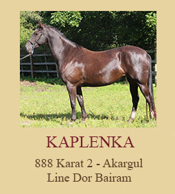 Kaplenka