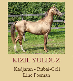 Kizil