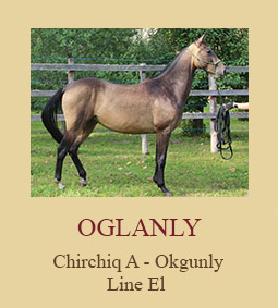 Oglanly