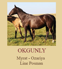 Okgunly