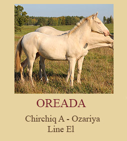 Oreada