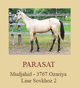 Parasat