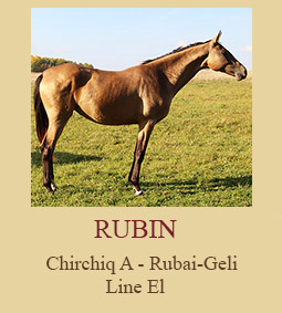 Rubin
