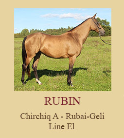 Rubin