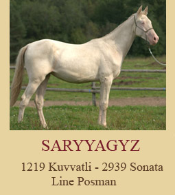 Saryyagyz