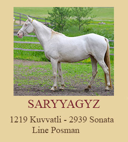 Saryyagyz