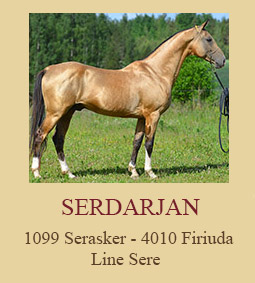 serdar