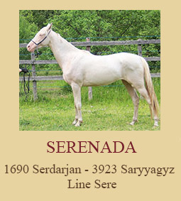 Serenada