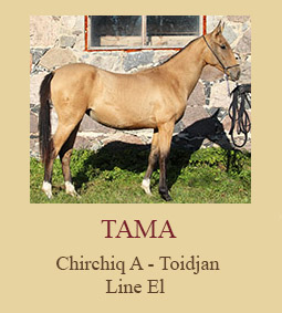 Tama