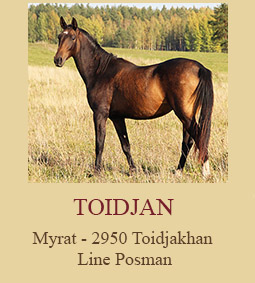 Toidjan